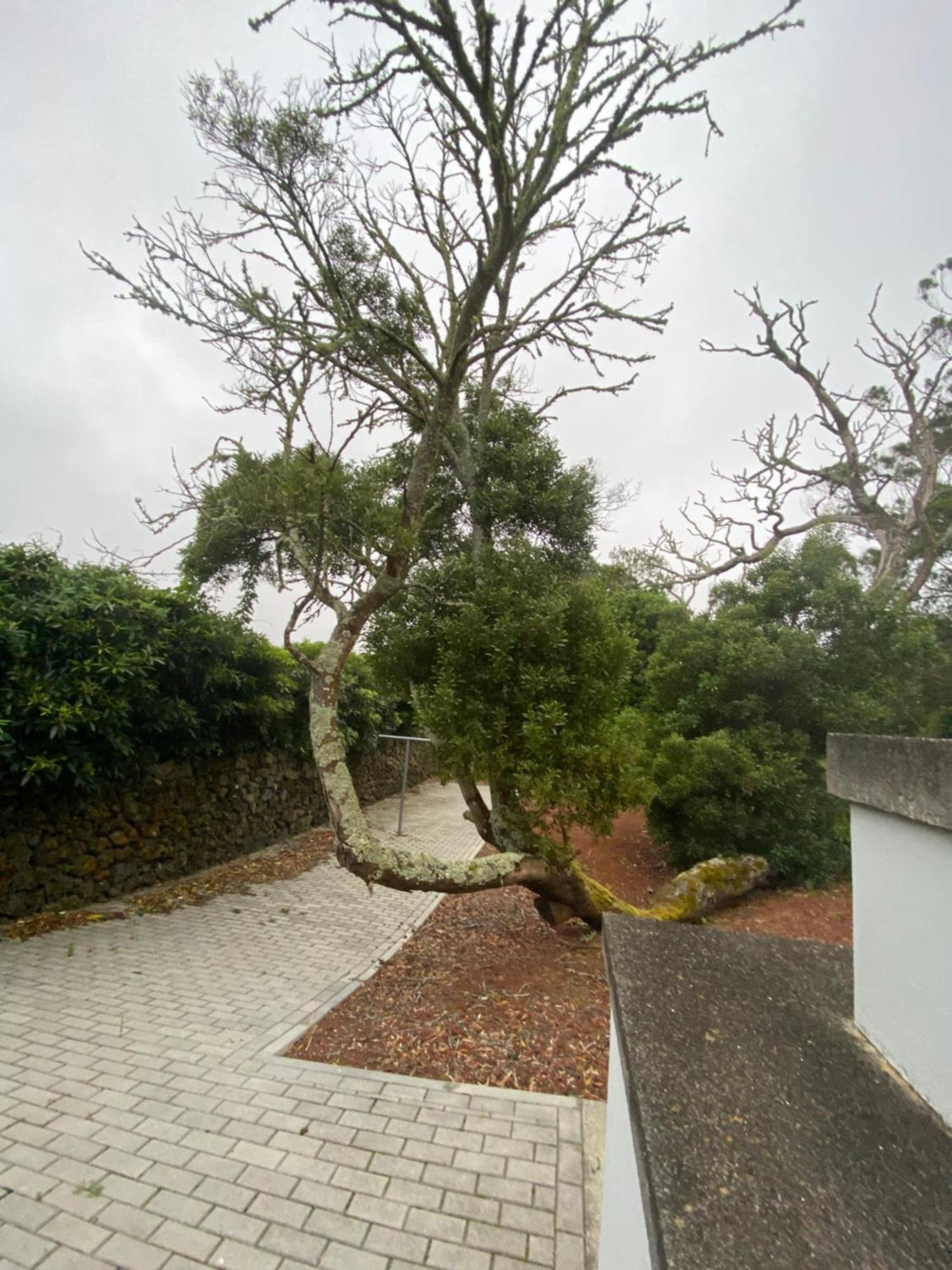 Casa Azul Terceira Island Azores Fonte do Bustardo Екстериор снимка